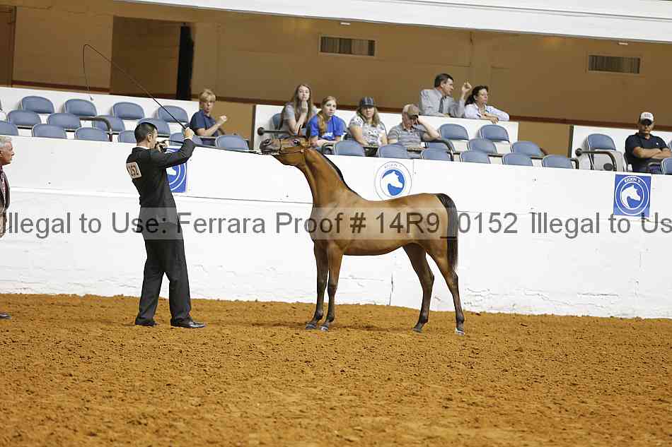 Proof 14r9_0152
