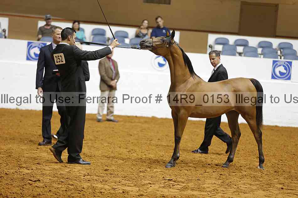 Proof 14r9_0153
