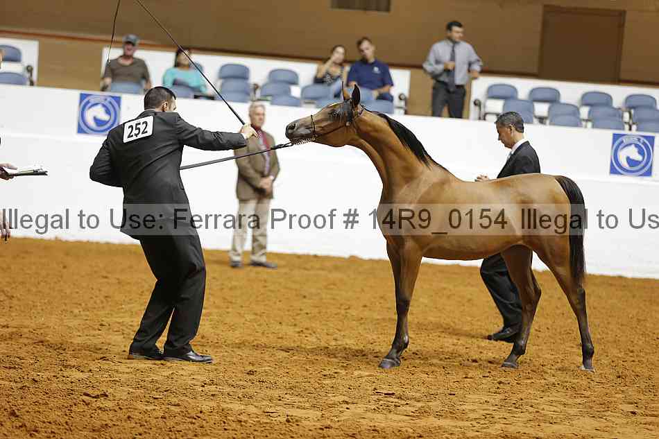 Proof 14r9_0154
