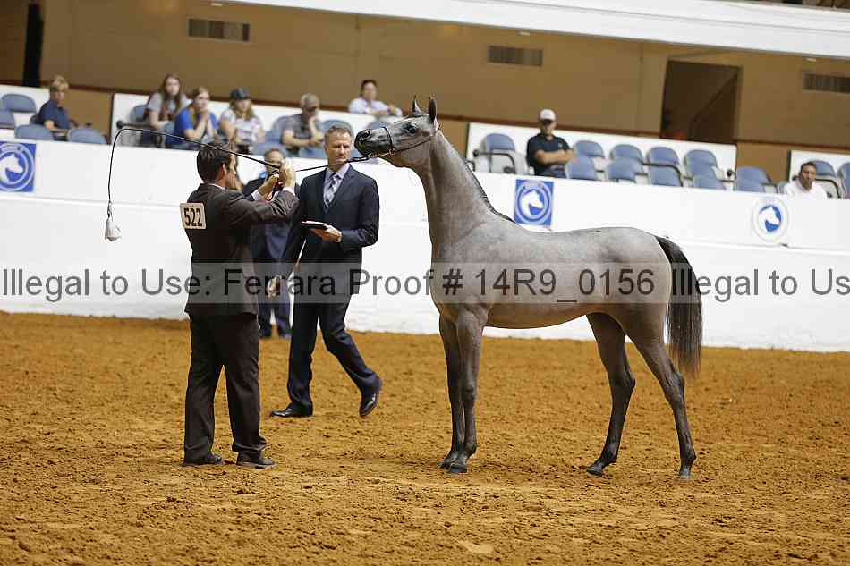 Proof 14r9_0156