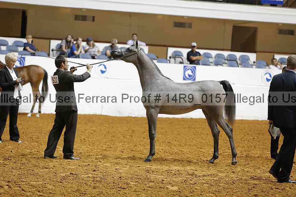 Proof 14r9_0157
