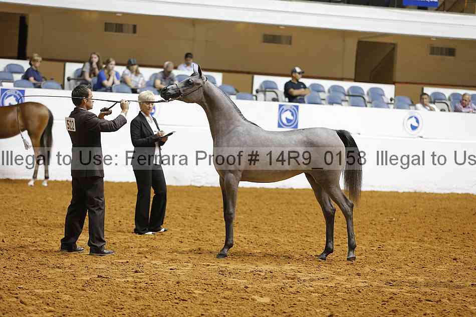 Proof 14r9_0158