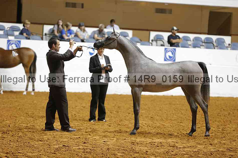 Proof 14r9_0159