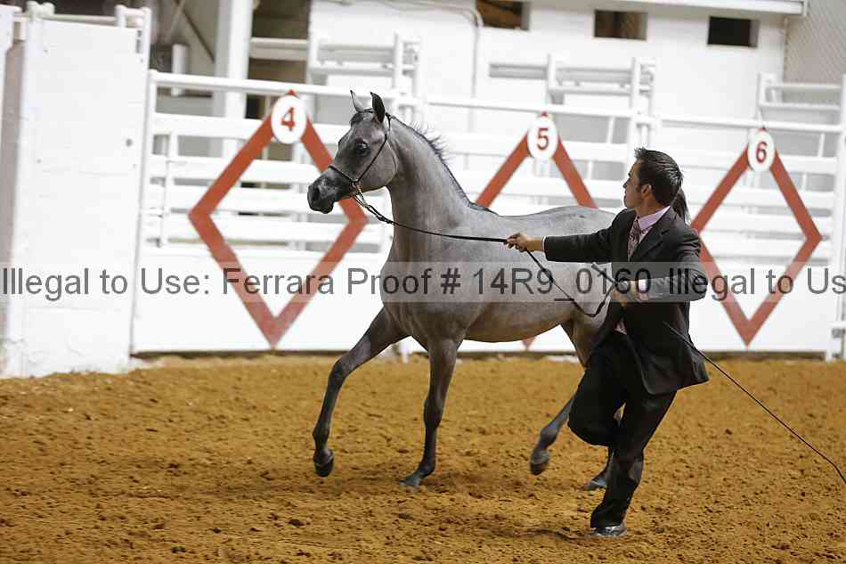 Proof 14r9_0160