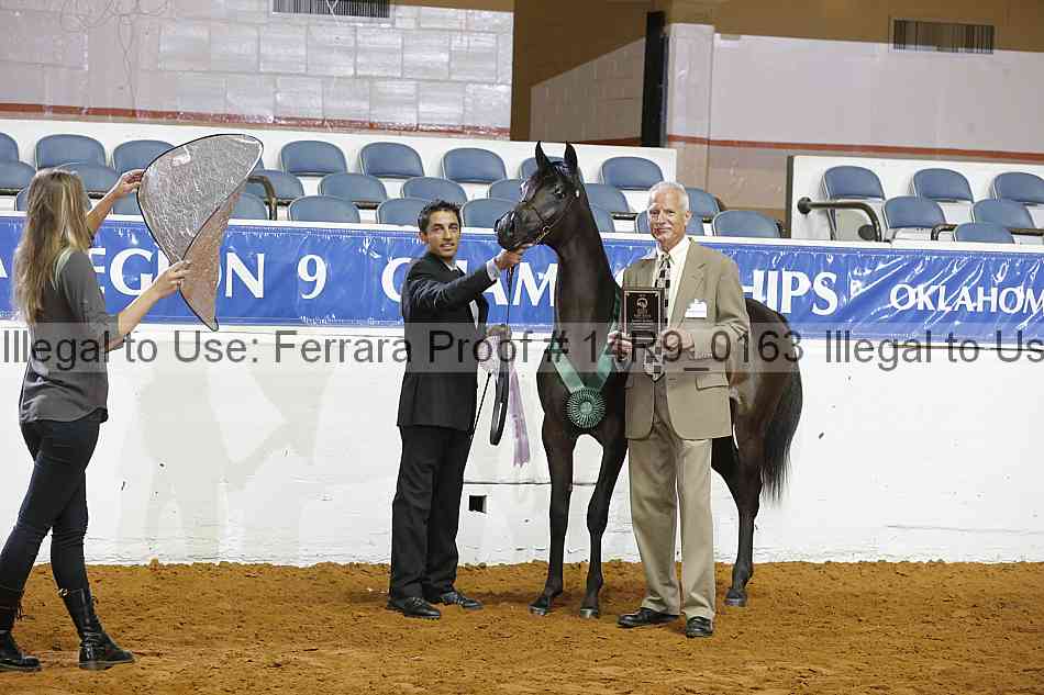 Proof 14r9_0163