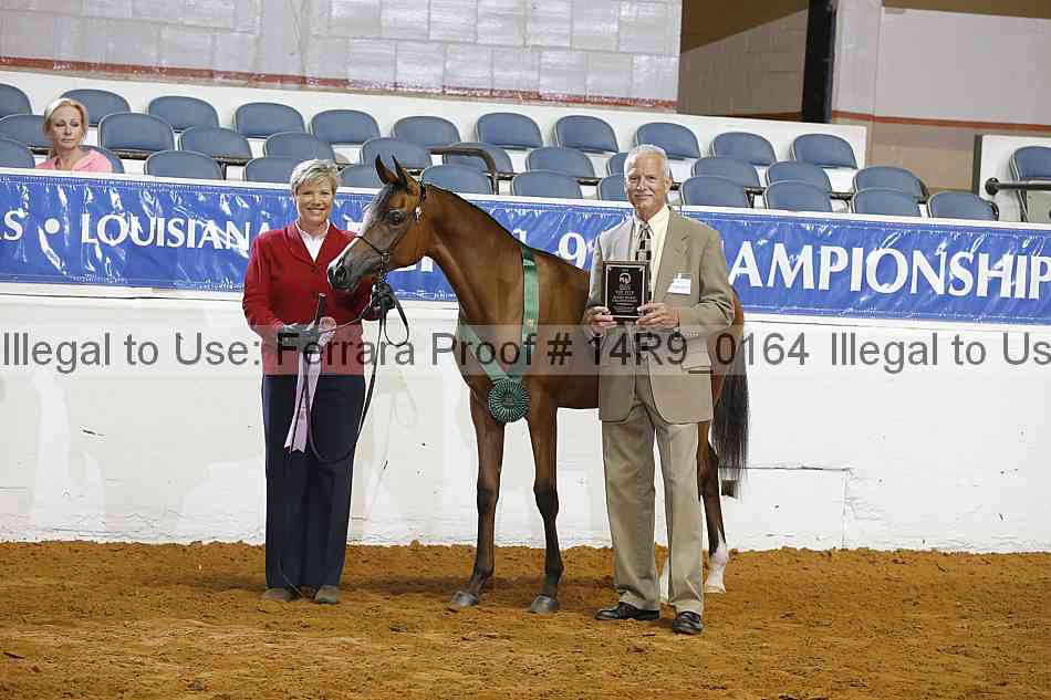 Proof 14r9_0164