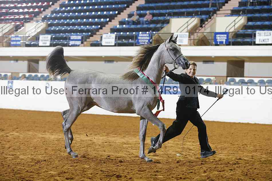 Proof 14r9_0174