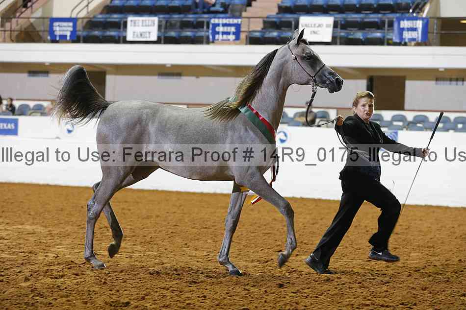 Proof 14r9_0175