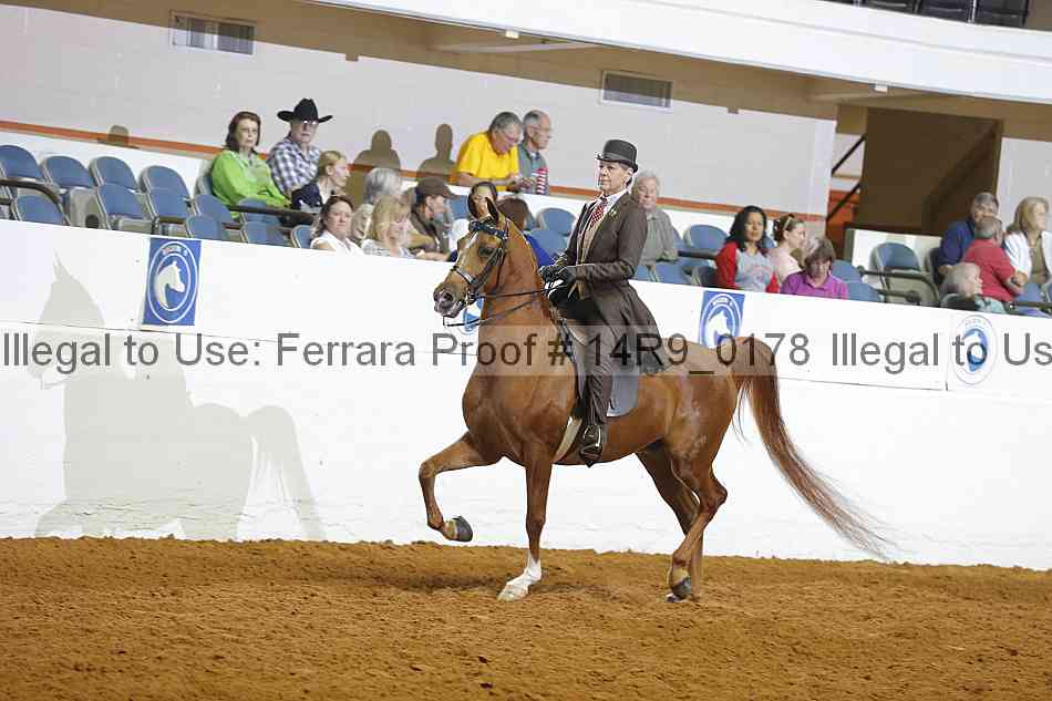 Proof 14r9_0178