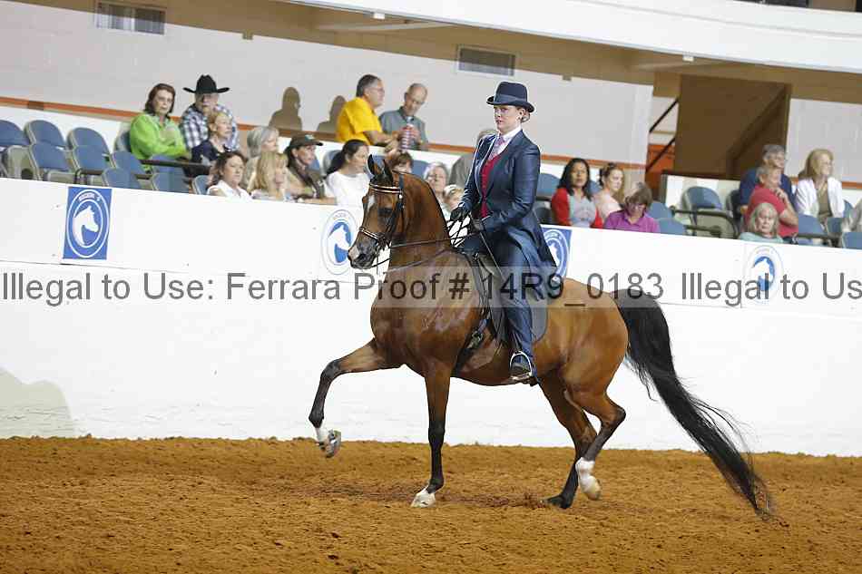 Proof 14r9_0183