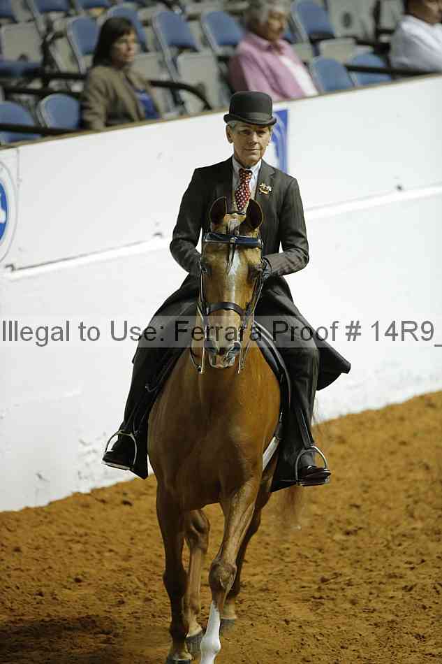 Proof 14r9_0185