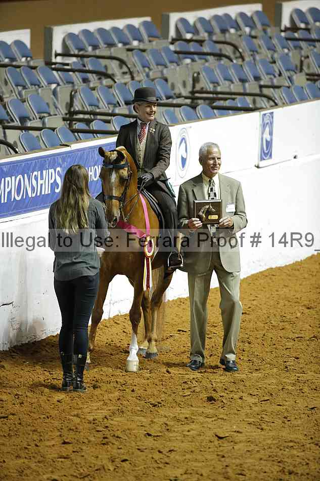 Proof 14r9_0195