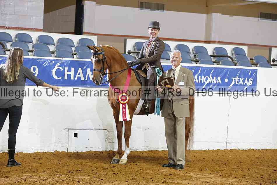 Proof 14r9_0196