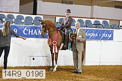 14r9_0196 proof