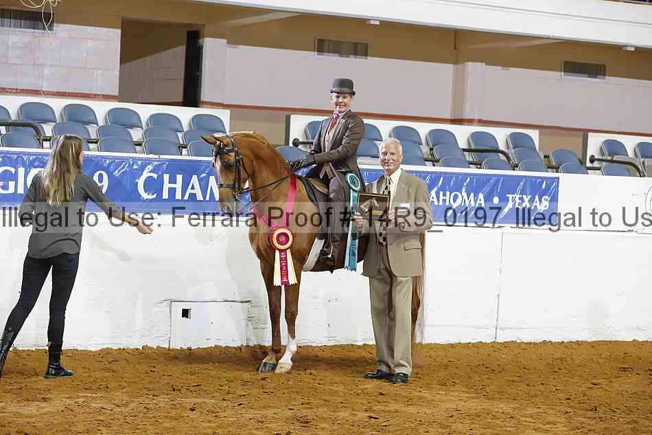 Proof 14r9_0197