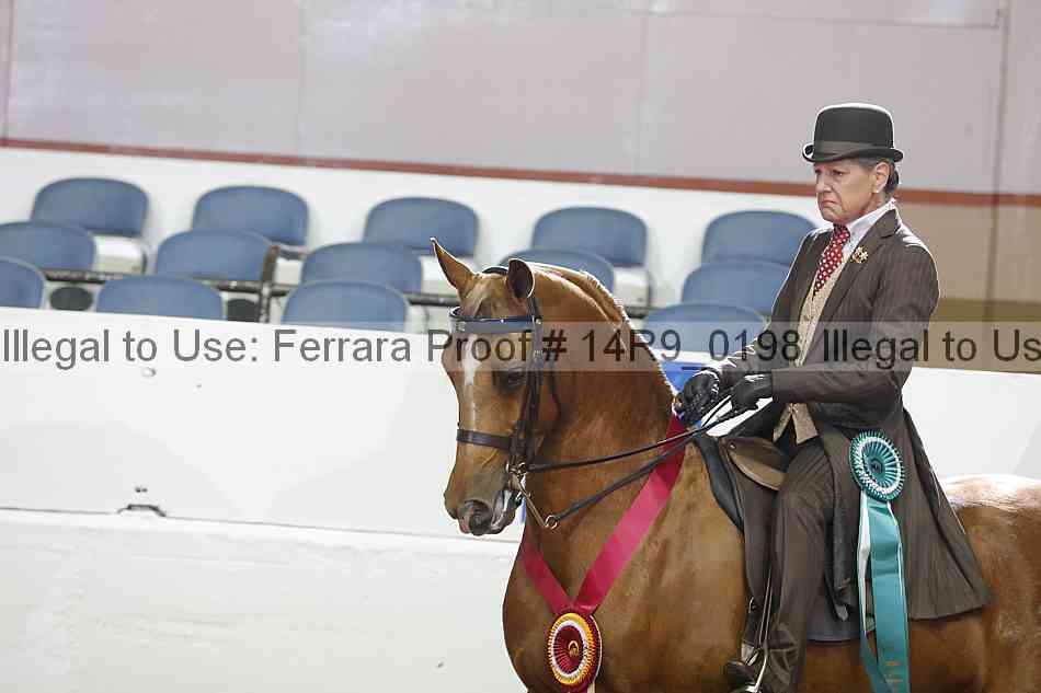 Proof 14r9_0198