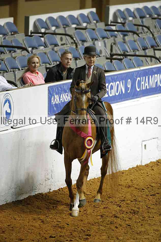 Proof 14r9_0199