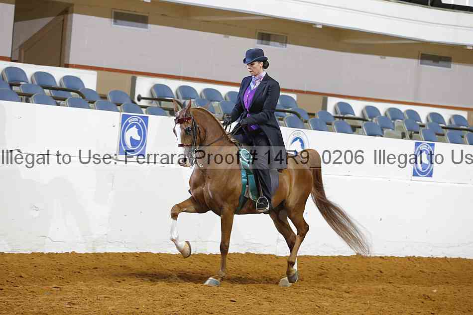 Proof 14r9_0206