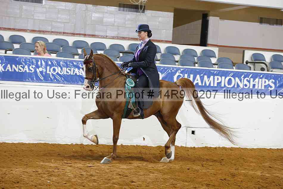 Proof 14r9_0207