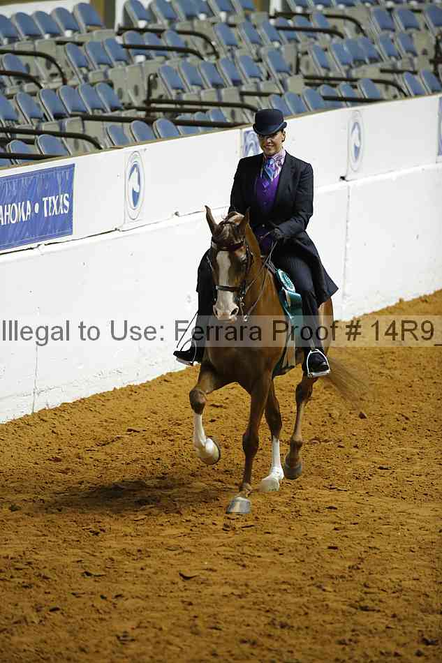 Proof 14r9_0208