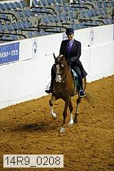 14r9_0208 proof