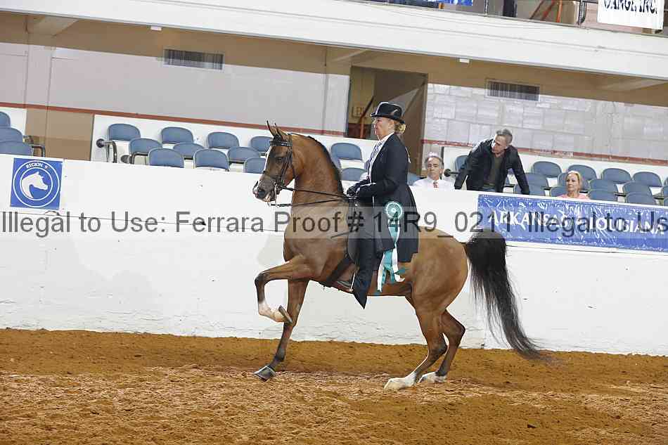 Proof 14r9_0211