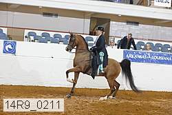 14r9_0211 proof