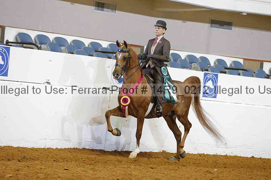 Proof 14r9_0212