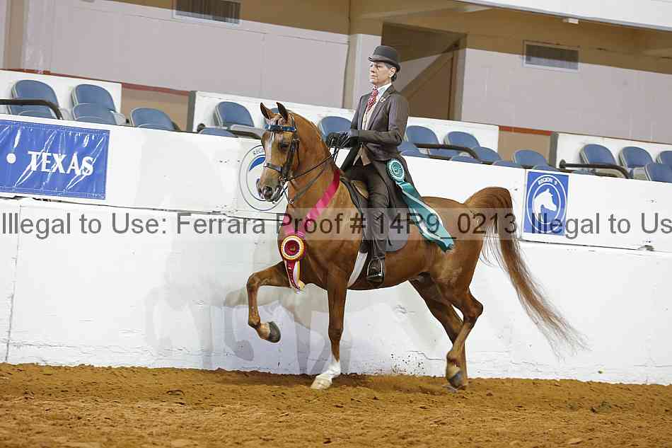 Proof 14r9_0213