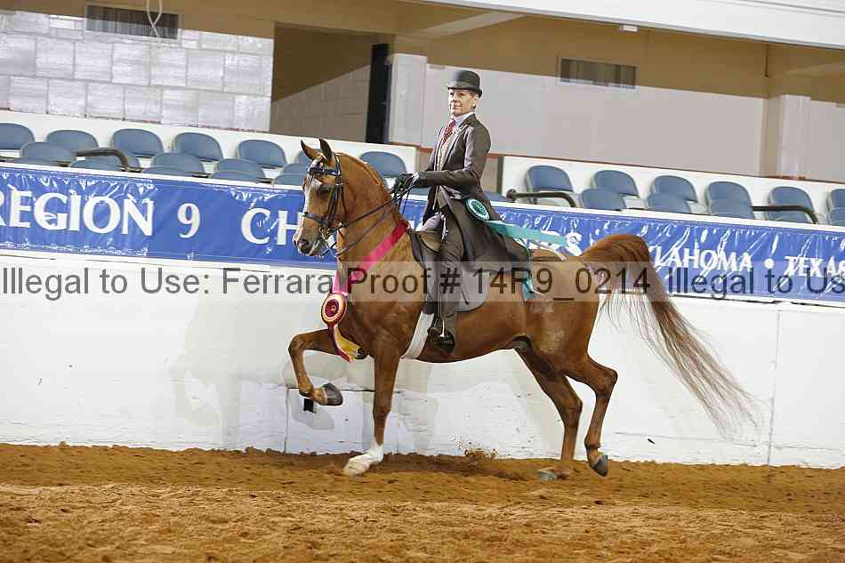 Proof 14r9_0214