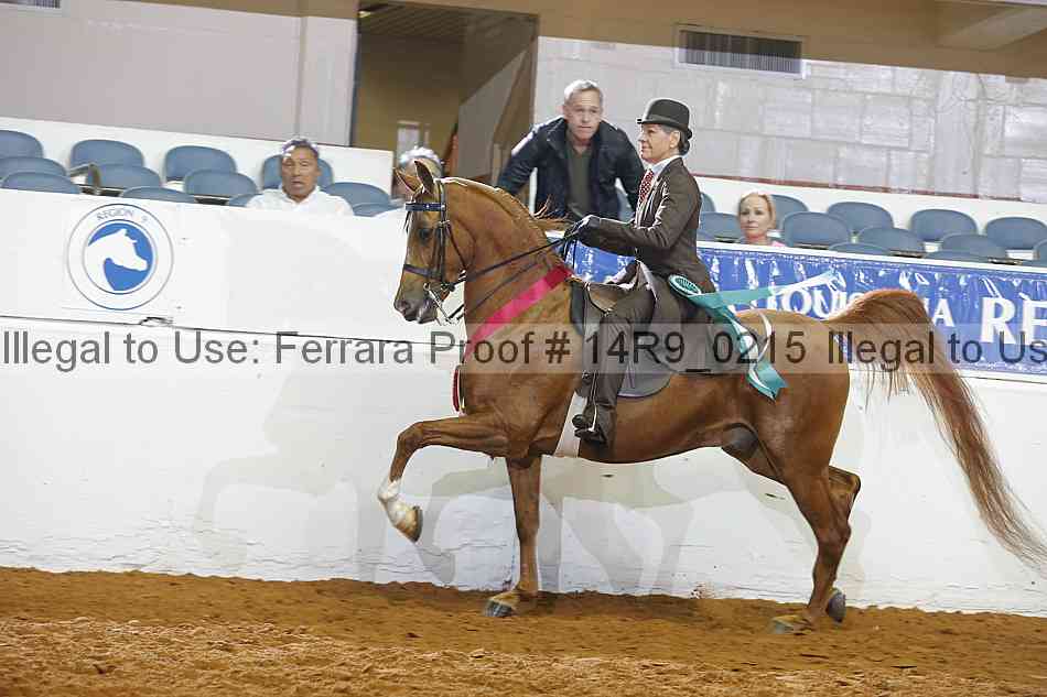 Proof 14r9_0215