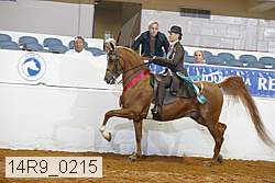 14r9_0215 proof
