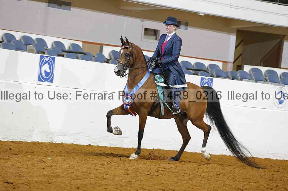 Proof 14r9_0216