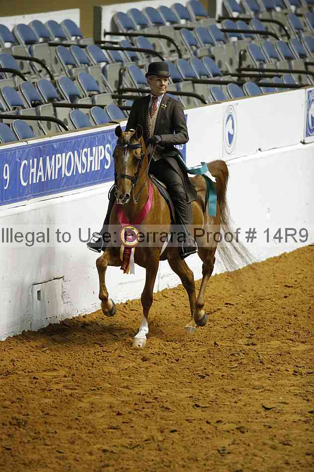 Proof 14r9_0217
