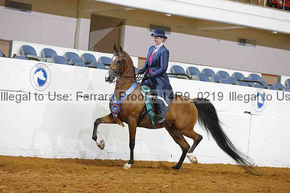 Proof 14r9_0219