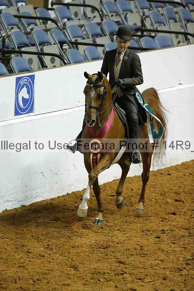 Proof 14r9_0221