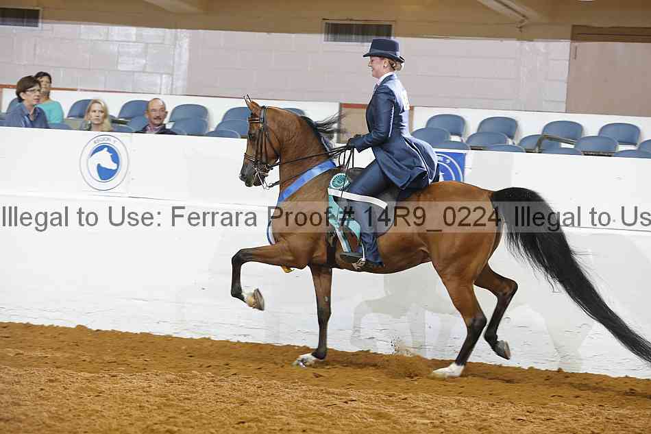 Proof 14r9_0224