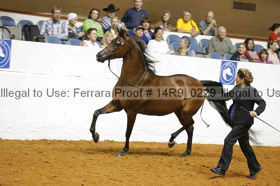 Proof 14r9_0229
