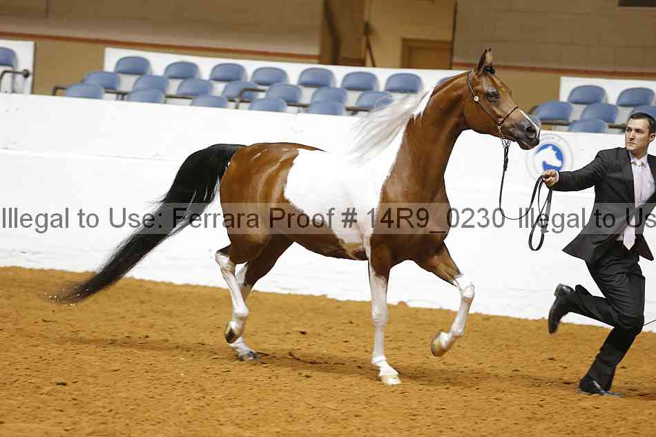 Proof 14r9_0230