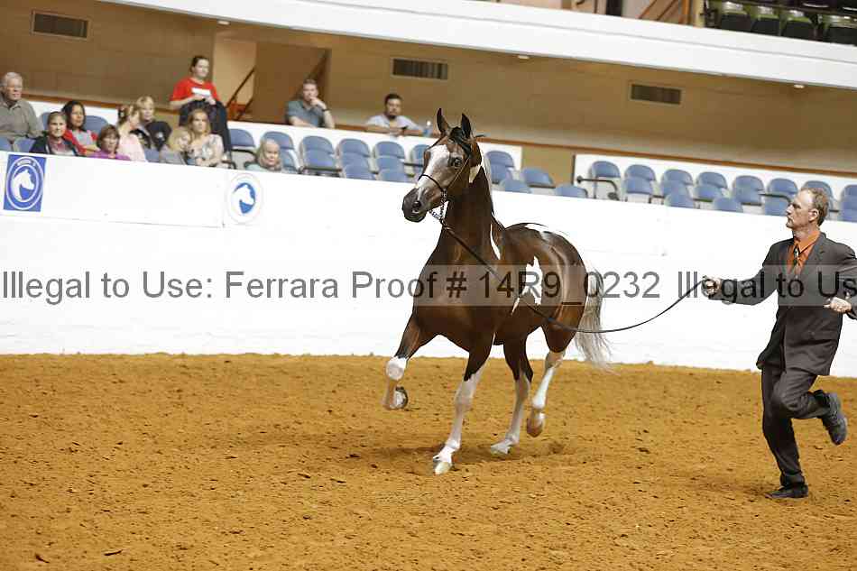 Proof 14r9_0232