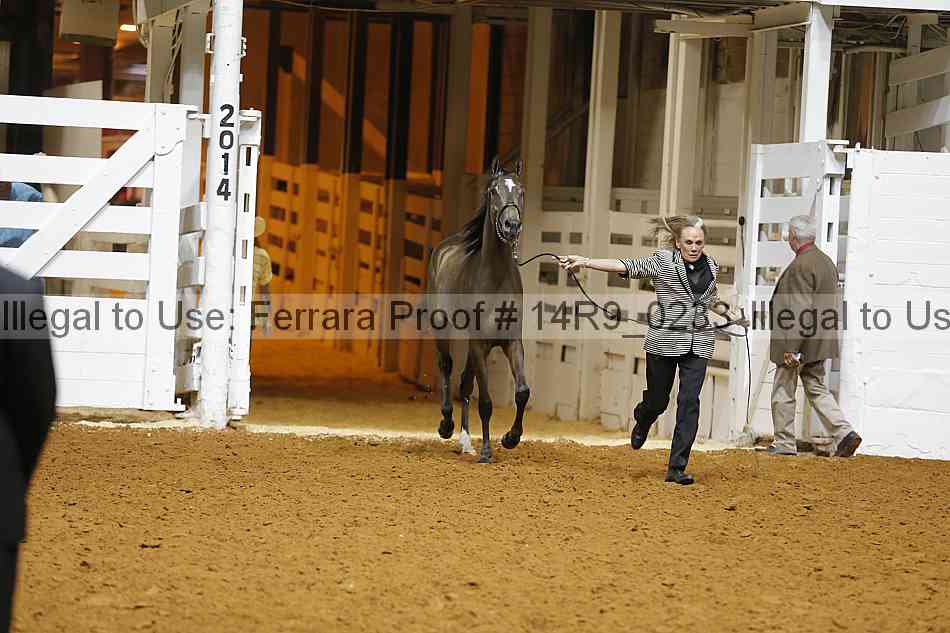 Proof 14r9_0233