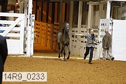 14r9_0233 proof