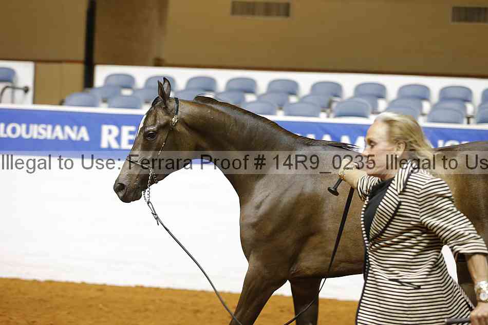 Proof 14r9_0235
