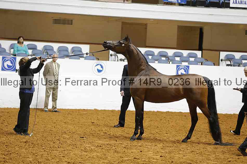 Proof 14r9_0236