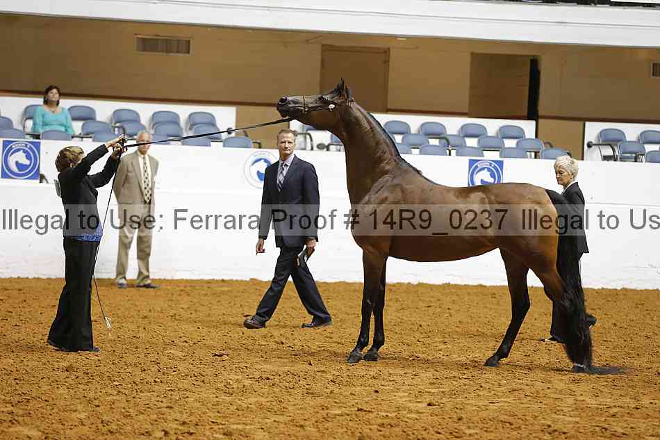 Proof 14r9_0237