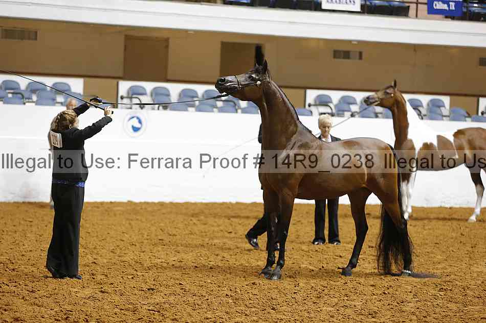 Proof 14r9_0238