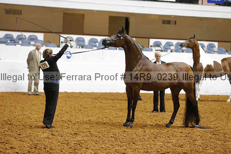 Proof 14r9_0239