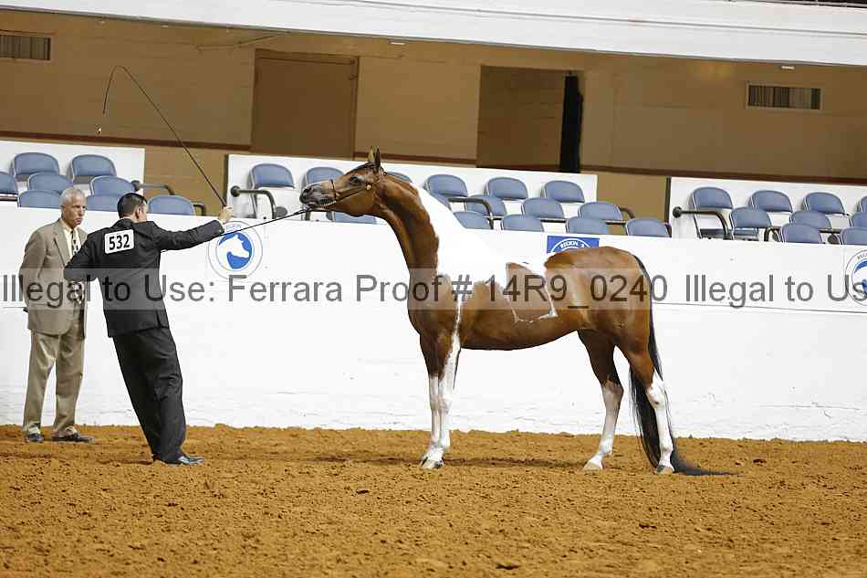 Proof 14r9_0240