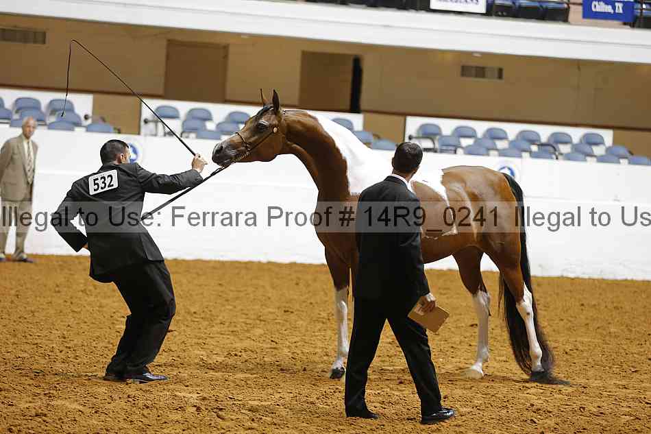 Proof 14r9_0241