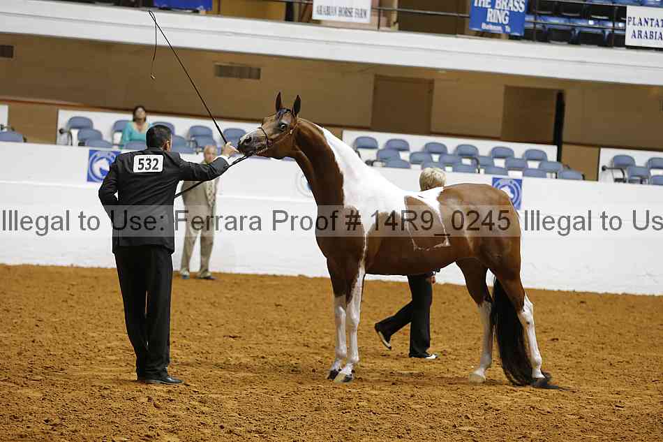 Proof 14r9_0245